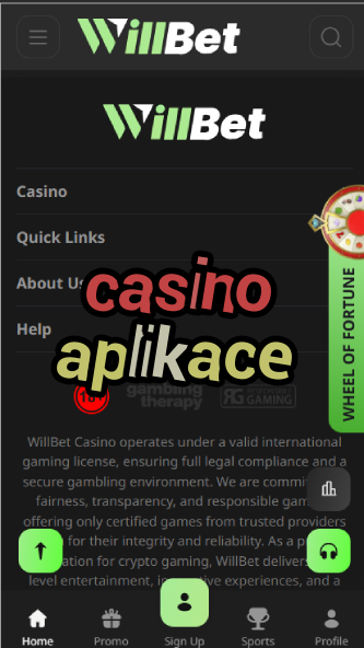 Casino Aplikace - Best Casino Mobile Apps-casinogringos.casinoorder.vip